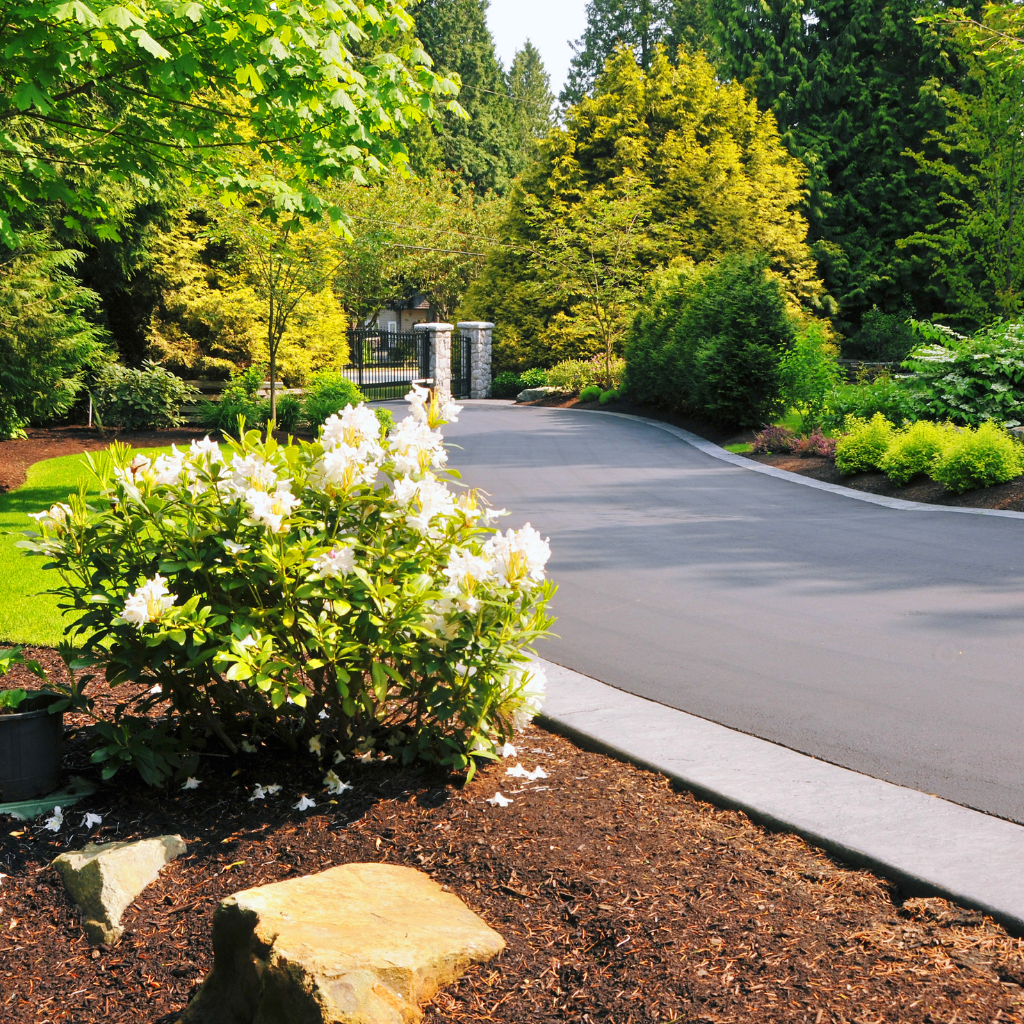 Local Driveway Solutions by WCD in Rhuddlan
