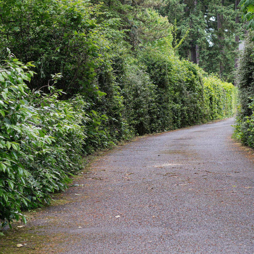 Quality Tarmaced Driveway by WCD Rhuddlan driveway company
